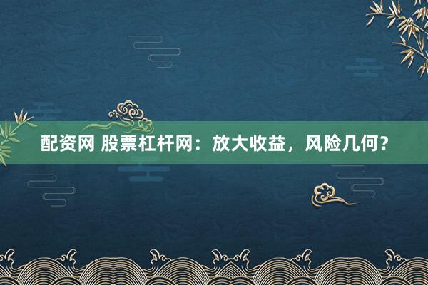 配资网 股票杠杆网：放大收益，风险几何？