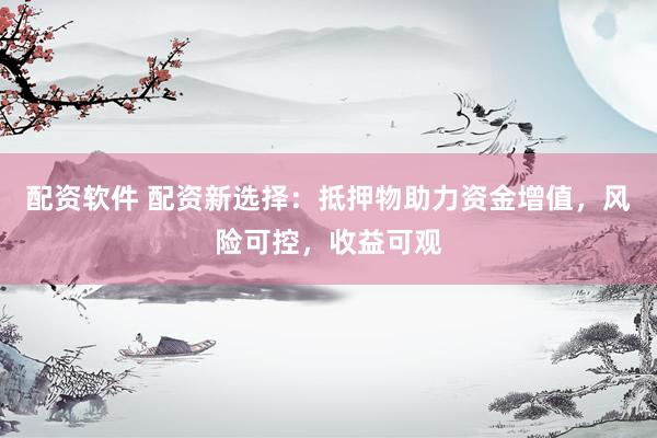 配资软件 配资新选择：抵押物助力资金增值，风险可控，收益可观