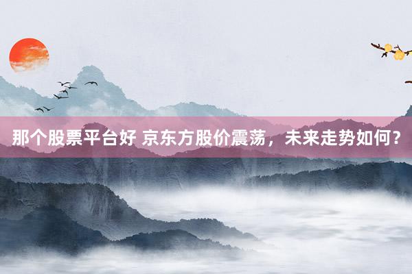 那个股票平台好 京东方股价震荡,未来走势如何?