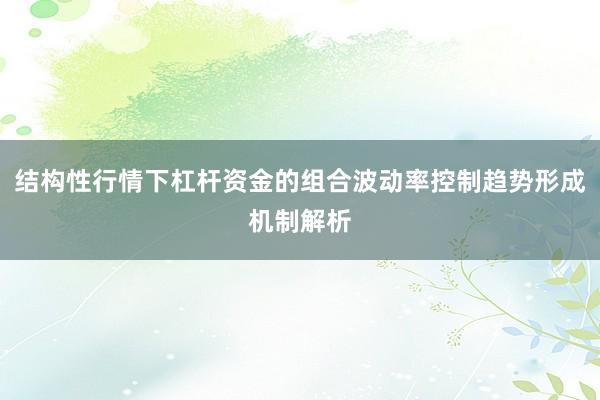 结构性行情下杠杆资金的组合波动率控制趋势形成机制解析