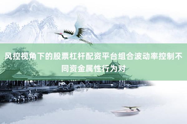 风控视角下的股票杠杆配资平台组合波动率控制不同资金属性行为对