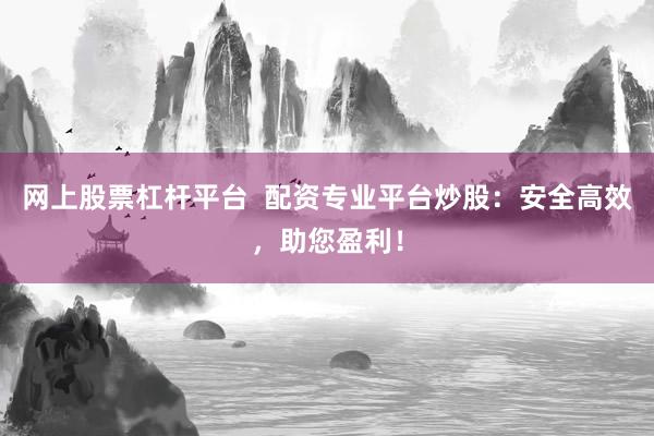 网上股票杠杆平台  配资专业平台炒股：安全高效，助您盈利！
