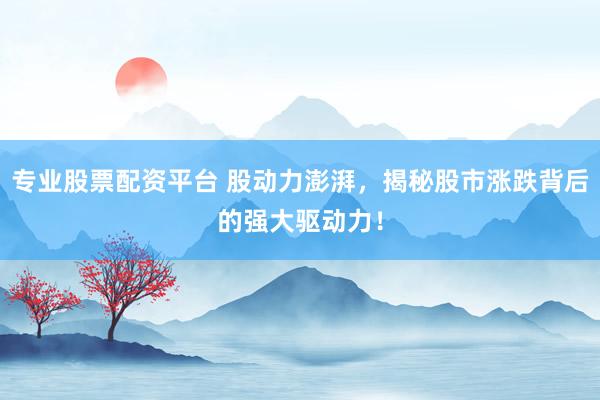 专业股票配资平台 股动力澎湃,揭秘股市涨跌背后的强大驱动力!