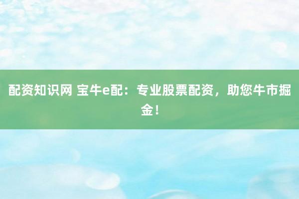 配资知识网 宝牛e配：专业股票配资，助您牛市掘金！